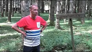 Lyngåsgården-en oppdatering