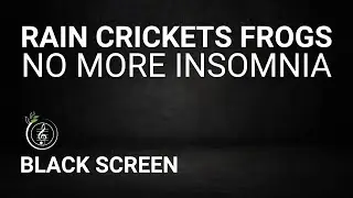 NO MORE INSOMNIA | Nature Sound of Gentle Rain, Crickets, and Frogs | FALL ASLEEP IMMEDIATELY