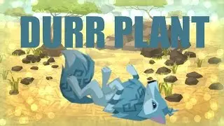 DURR PLANT | Animal Jam Edition | HAPPY BIRTHDAY, GWEN