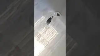 У меня дома живут призраки