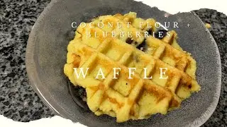 WAFFLE | Coconut Flour | Blueberries
