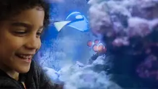 WE FOUND THE REAL NEMO & DORY IN THE AQUARIUM AT THE ZOO | The Bowie Family