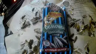 ДОБРОВИДИКТАТУРА