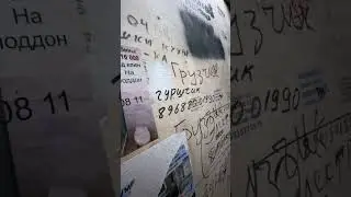 Гуршчик? #россия #юмор