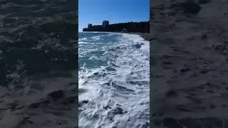 Пицунда зимой шортс Shorts 4