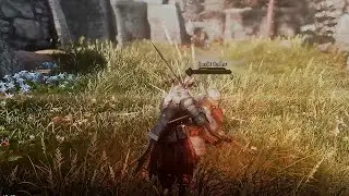 Skyrim in 2022 | Combat Showcase | Bjorn ENB