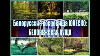 Выпуск 1 «Беловежская пуща». Проект «Белорусские сокровища ЮНЕСКО»