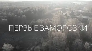 Чернишня. Первые заморозки.