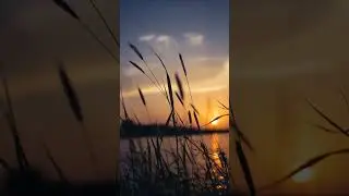 Depeche Mode | Enjoy the Silence