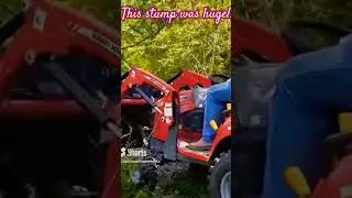 Hard Working Massey GC Removing Huge Stump!!  #LTVids #masseyGC #diggingstumps