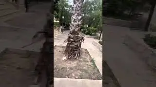 Город Арта 1 часть