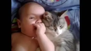 Настоящая дружба