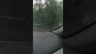 Упало дерево на дом 😳😱 #дом #дерево #башкортостан