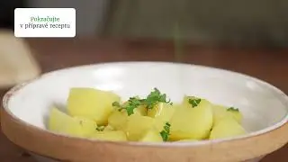 Program Škrabka Thermomix® TM6