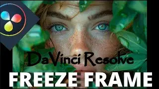 How to FREEZE FRAME of a video | Davinci Resolve 19 Tutorial