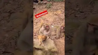 Mom protects her child from thief 