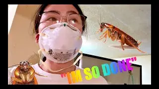How to Kill Cockroaches - The most I've EVER seen in my life #VLOG
