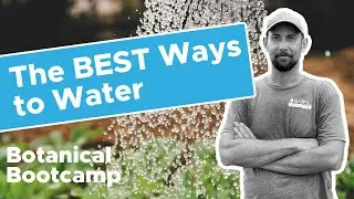 The Best Ways to Water Your Landscape