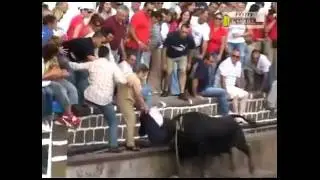 bulls vs people