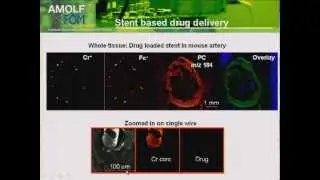 Pittcon 2012 - Imaging Mass Spectrometry - Abstract 1