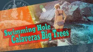 Swimming Hole Calaveras Big Trees. Hiking through sequoias and jumping in rivers. Weekend Retreat.