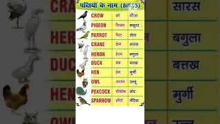 #shorts #shortvideo #viral