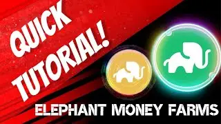 Comprehensive Tutorial - Elephant Money Farms