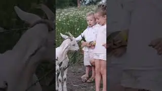 Beautiful woman and children #masti gota short  #kids #short 🥰🥰🥰🥰 video s