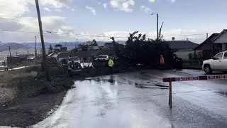 Video: Sawyers clear downed tree in Butte