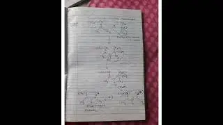 Pal knorr synthesis of pyrrole |Knorr pyrrole synthesis |Hantzsch synthesis of pyrrole