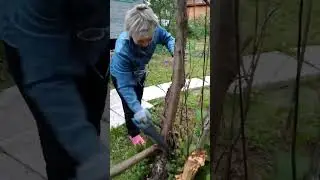 11 июня 2024 г.