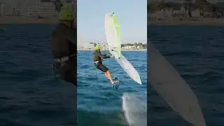 Sea Skate