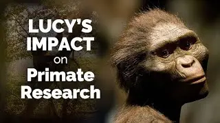 CARTA: Lucy's Legacy and the Past and Future of Primate Research