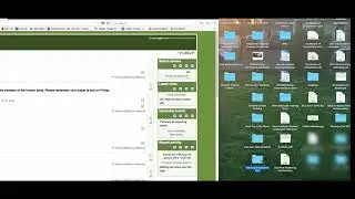 Tech Tip of the Week #30 Adding Multiple Files to a Moodle Course