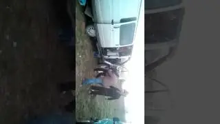 Цыганский прикол 2017 романэ чавэ