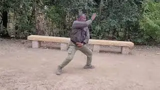 Tai Chi Exercise #martialarts #kungfu #taichi