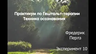 Практикум по гештальт-терапии.