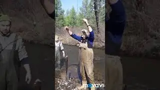 Огромные ленки