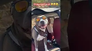 Кайфули!
