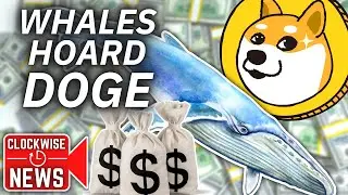 🚀 BIGGEST WHALES COLLECTING DOGE - BEST PATH TO $1 ??