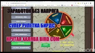 СУПЕР РУЛЕТКА  БИРДС. КРУТАЯ ХАЛЯВА BIRD COM
