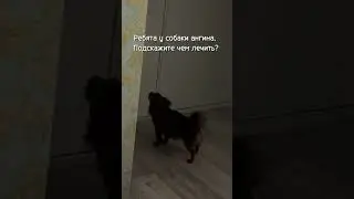 Беззвучный режим активирован.
