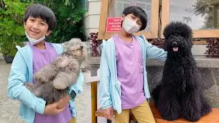 ZIYAN MAIN SAMA GUGUK