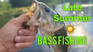 Summer ☀️ Bass Fishing!! Down size!!