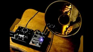 Mirrored Meanderings #1: Red Panda Tensor + Nemesis Delay +Saxophone
