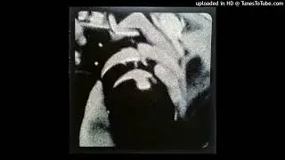 William Parker - Sonic Animation