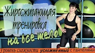 Жиросжигающая тренировка на все тело с разминкой и растяжкой | sindirina1