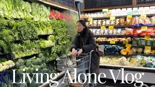 Living Alone Vlog | first time at pilates, winter central park, home made meals, exciting news !! 