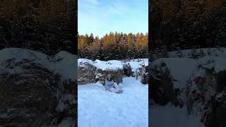 Прекрасный отдых на природе! #visittyumen #тюмень #регион72 #тюмень72 #туризм #путешествия #россия