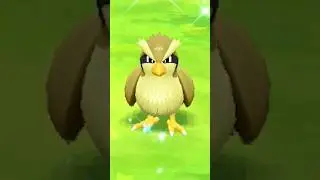 Let’s GO Pikachu Full Odds SHINY ✨